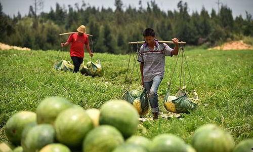 11月4日吃瓜,吃瓜群众见证的娱乐圈风云变幻