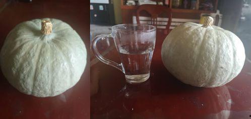 吃瓜打胶水,揭秘瓜农的甜蜜事业与胶水产业的奇妙融合