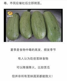 苦耳瓜可以吃吗怎么吃,苦耳瓜的食用方法与美味探索