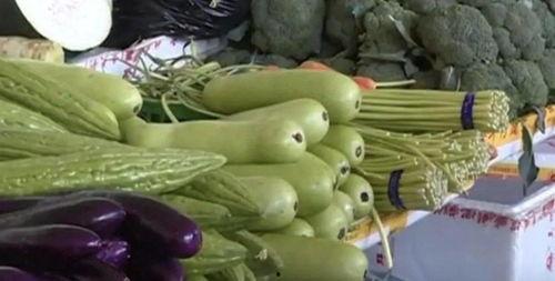 苦耳瓜可以吃吗怎么吃,苦耳瓜的食用方法与美味探索