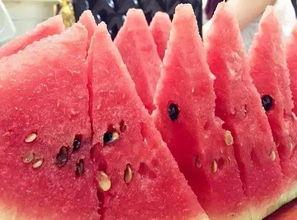 遂川免费吃瓜,畅享清凉夏日时光