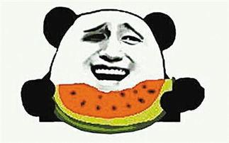 吃瓜群众吃的是瓜子吗,吃瓜群众究竟吃的是瓜子吗?
